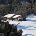 IMG_3665